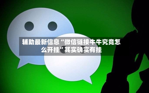 辅助最新信息“微信链接牛牛究竟怎么开挂”其实确实有挂-第3张图片