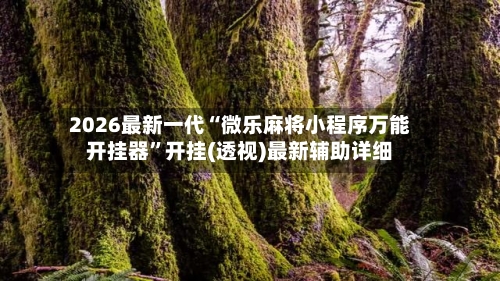 2026最新一代“微乐麻将小程序万能开挂器”开挂(透视)最新辅助详细-第2张图片