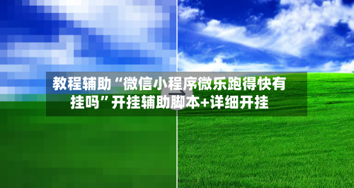 教程辅助“微信小程序微乐跑得快有挂吗”开挂辅助脚本+详细开挂-第2张图片