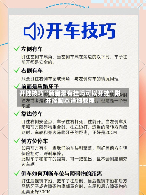 开挂技巧“新皇豪有挂吗可以开挂”附开挂脚本详细教程-第2张图片