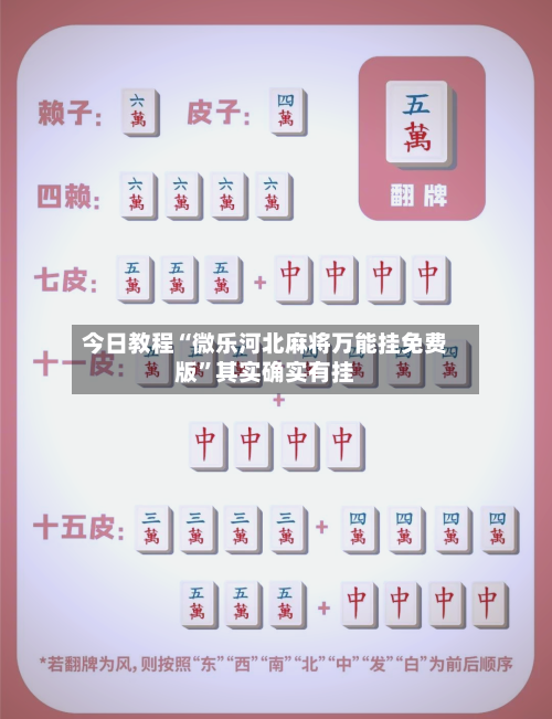 今日教程“微乐河北麻将万能挂免费版”其实确实有挂-第3张图片