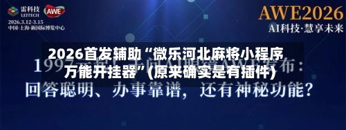 2026首发辅助“微乐河北麻将小程序万能开挂器”(原来确实是有插件)-第3张图片