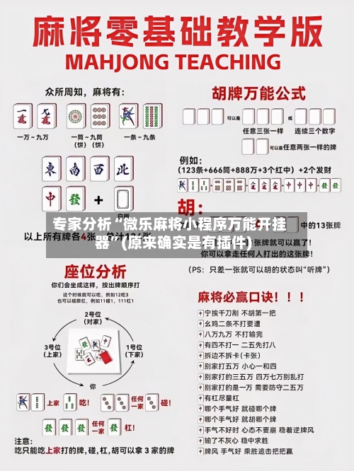 专家分析“微乐麻将小程序万能开挂器”(原来确实是有插件)-第2张图片