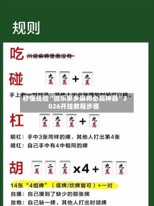 秒懂经验“微乐家乡麻将必赢神器	”2026开挂教程步骤-第2张图片