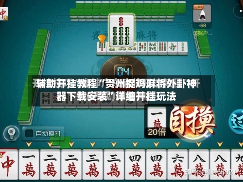 辅助开挂教程“贵州捉鸡麻将外卦神器下载安装”详细开挂玩法-第2张图片