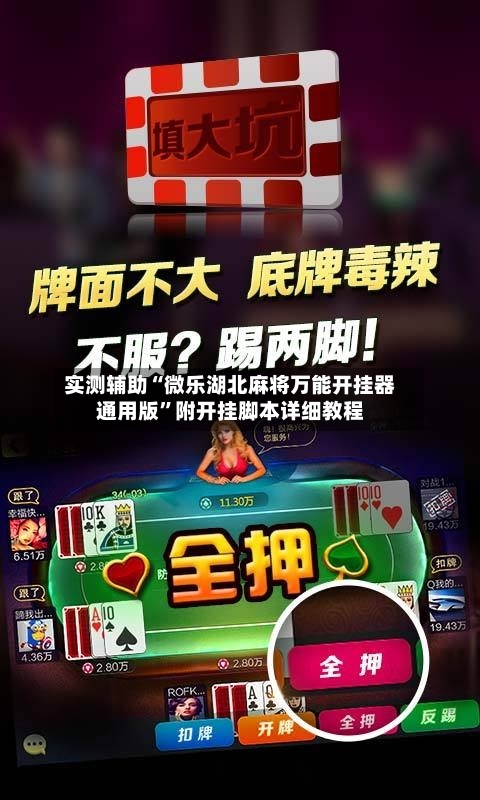 实测辅助“微乐湖北麻将万能开挂器通用版”附开挂脚本详细教程-第3张图片