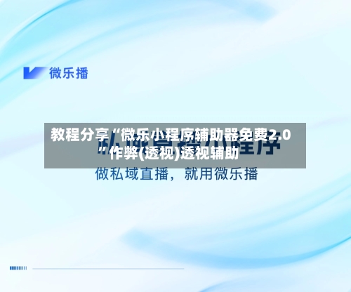 教程分享“微乐小程序辅助器免费2.0	”作弊(透视)透视辅助-第2张图片
