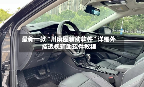 最新一款“川麻圈辅助软件”详细外挂透视辅助软件教程-第2张图片