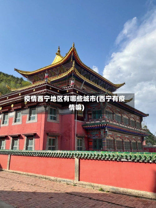 疫情西宁地区有哪些城市(西宁有疫情嘛)