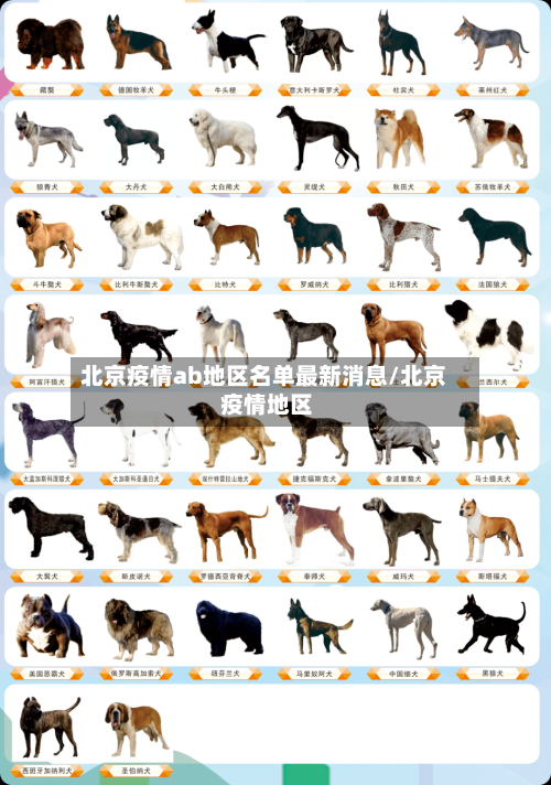 北京疫情ab地区名单最新消息/北京 疫情地区-第3张图片