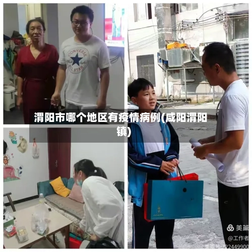 渭阳市哪个地区有疫情病例(咸阳渭阳镇)