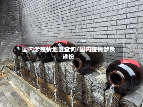 国内涉疫情地区查询/国内疫情涉及省份-第3张图片