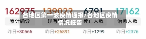 各地区第一波疫情通报/各地区疫情情况报告