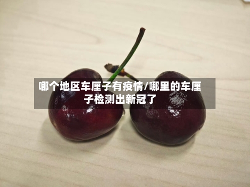 哪个地区车厘子有疫情/哪里的车厘子检测出新冠了