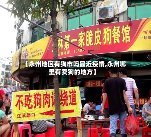 【永州地区有狗市吗最近疫情,永州哪里有卖狗的地方】