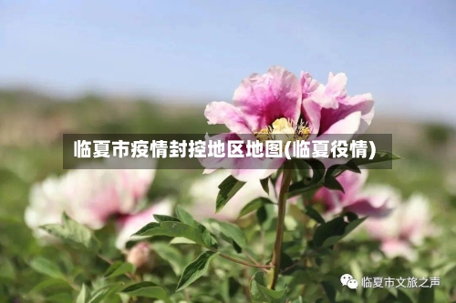 临夏市疫情封控地区地图(临夏役情)