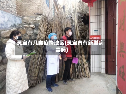灵宝有几类疫情地区(灵宝市有新型病毒吗)