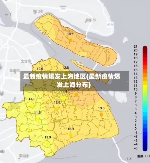 最新疫情爆发上海地区(最新疫情爆发上海分布)-第3张图片