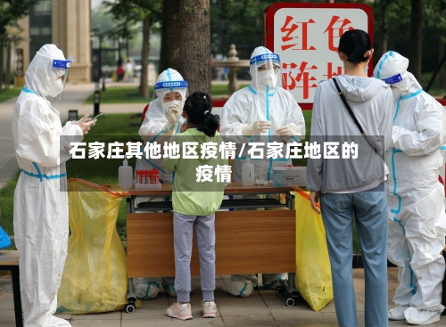 石家庄其他地区疫情/石家庄地区的疫情