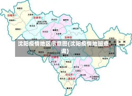 沈阳疫情地区示意图(沈阳疫情地图查询)-第2张图片