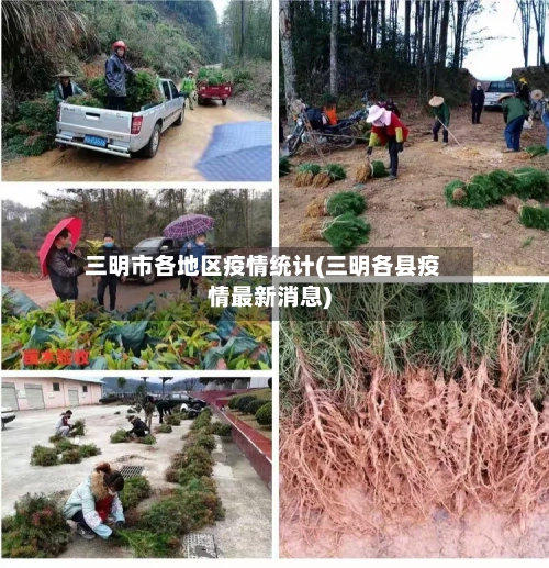 三明市各地区疫情统计(三明各县疫情最新消息)