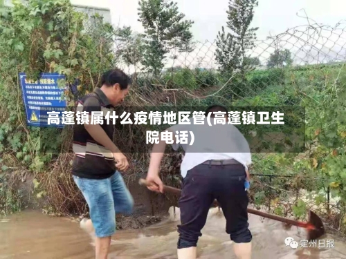 高蓬镇属什么疫情地区管(高蓬镇卫生院电话)-第2张图片