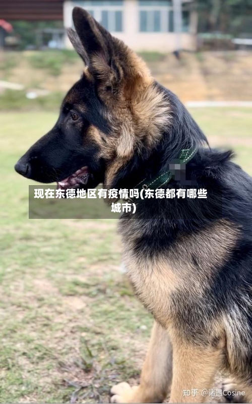 现在东德地区有疫情吗(东德都有哪些城市)