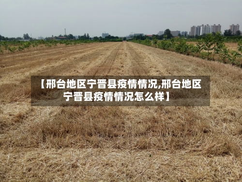 【邢台地区宁晋县疫情情况,邢台地区宁晋县疫情情况怎么样】