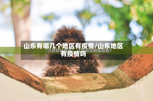 山东有哪几个地区有疫情/山东地区有疫情吗