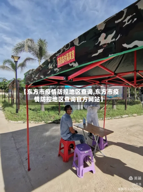 【东方市疫情防控地区查询,东方市疫情防控地区查询官方网站】-第2张图片