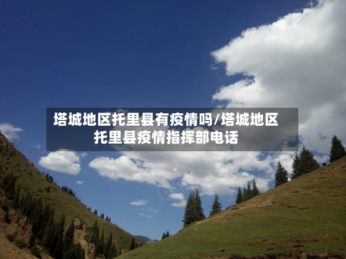 塔城地区托里县有疫情吗/塔城地区托里县疫情指挥部电话-第2张图片