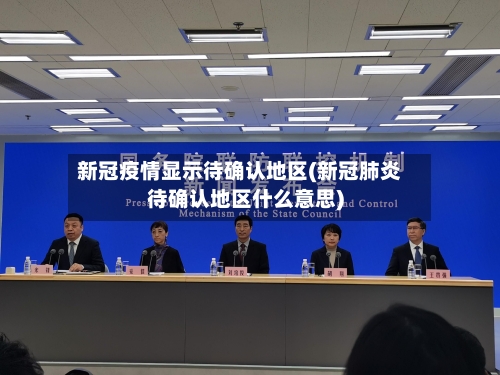新冠疫情显示待确认地区(新冠肺炎待确认地区什么意思)