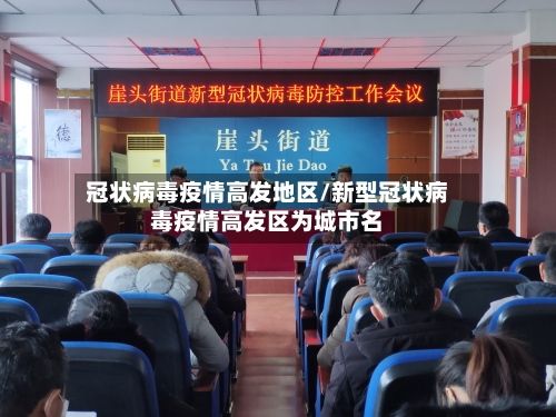 冠状病毒疫情高发地区/新型冠状病毒疫情高发区为城市名