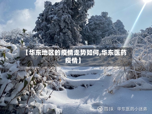 【华东地区的疫情走势如何,华东医药疫情】