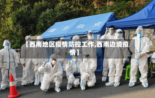 【西南地区疫情防控工作,西南边境疫情】-第2张图片