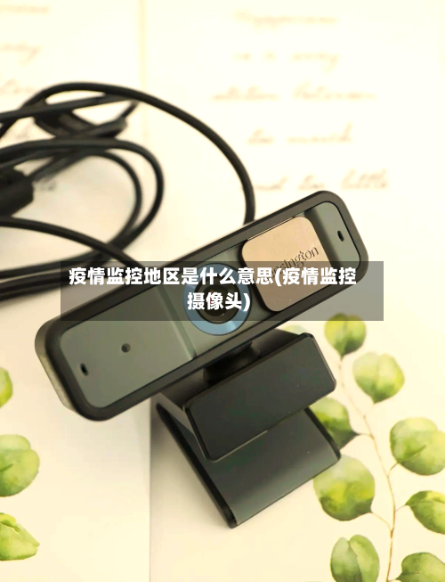 疫情监控地区是什么意思(疫情监控摄像头)-第2张图片