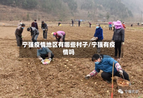 宁强疫情地区有哪些村子/宁强有疫情吗-第3张图片