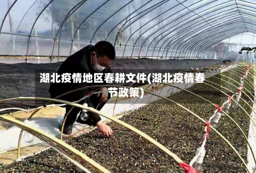 湖北疫情地区春耕文件(湖北疫情春节政策)