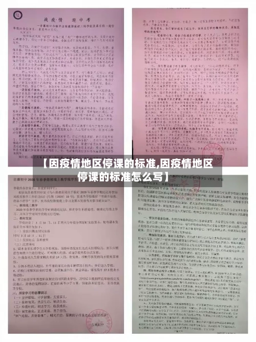 【因疫情地区停课的标准,因疫情地区停课的标准怎么写】