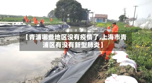【青浦哪些地区没有疫情了,上海市青浦区有没有新型肺炎】