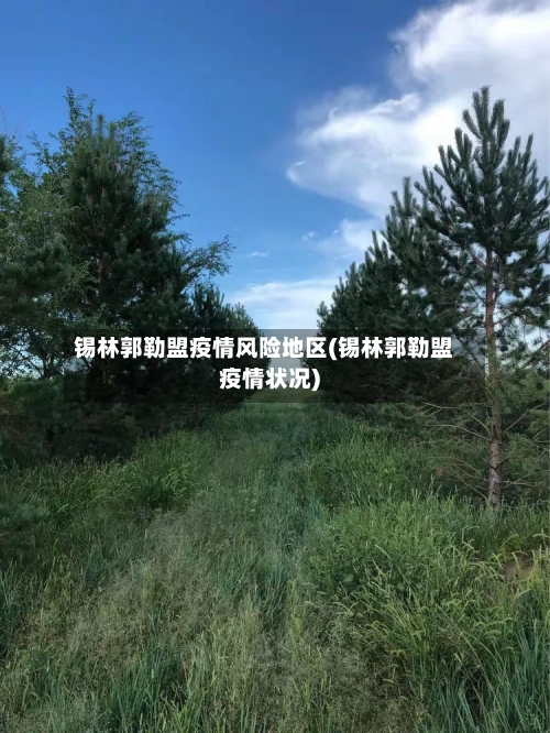 锡林郭勒盟疫情风险地区(锡林郭勒盟疫情状况)