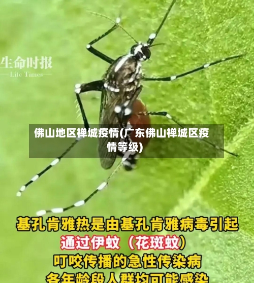 佛山地区禅城疫情(广东佛山禅城区疫情等级)