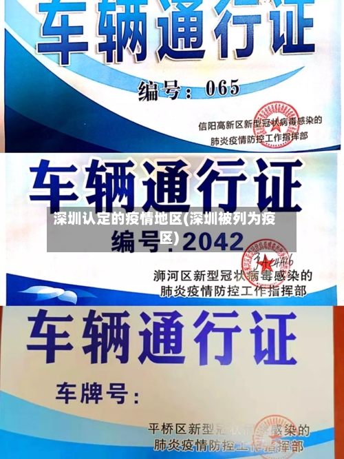深圳认定的疫情地区(深圳被列为疫区)-第2张图片