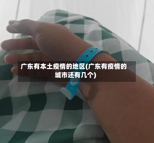 广东有本土疫情的地区(广东有疫情的城市还有几个)-第2张图片