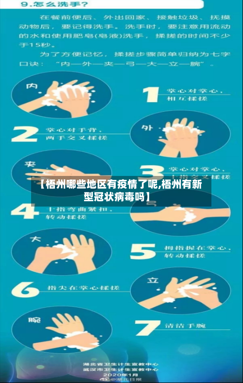 【梧州哪些地区有疫情了呢,梧州有新型冠状病毒吗】-第3张图片