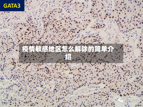 疫情敏感地区怎么解除的简单介绍