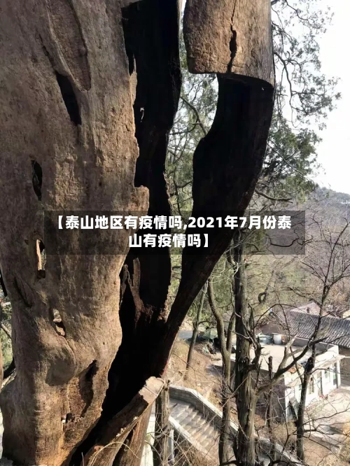 【泰山地区有疫情吗,2021年7月份泰山有疫情吗】-第2张图片