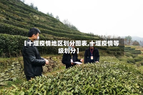【十堰疫情地区划分图表,十堰疫情等级划分】-第3张图片
