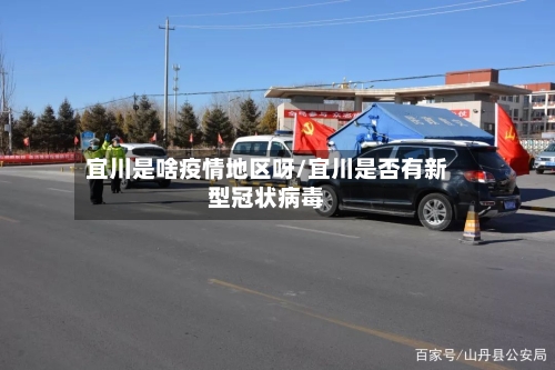 宜川是啥疫情地区呀/宜川是否有新型冠状病毒-第2张图片