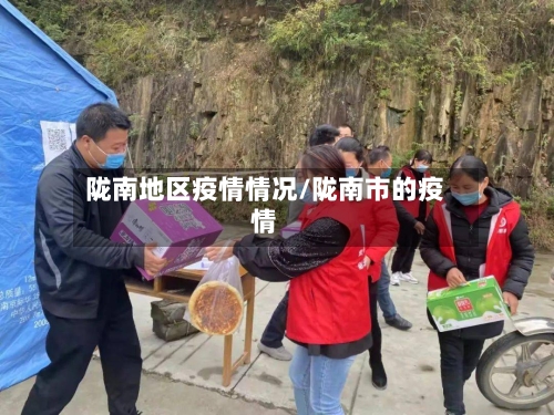 陇南地区疫情情况/陇南市的疫情